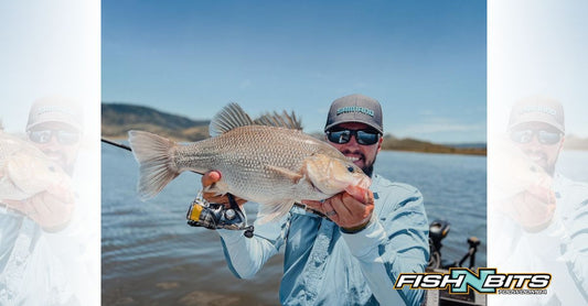Fishing Report 18th November 2022