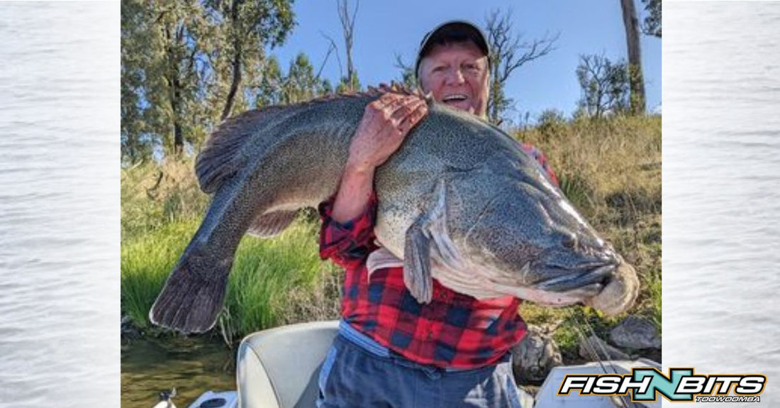 Fishing Report 10th June 2022