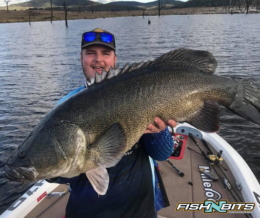 Fishing Report 3rd July 2020