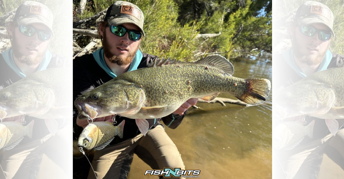 Fishing Report 21st July 2023