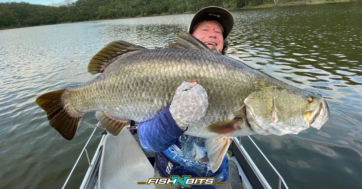 dam fishing reels australia Quick 1202 (VINTAGE, 8/10) as is Anglers Central DAM QUICK MODEL 550 SPINNING
