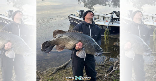 Fishing Report 23rd June 2023
