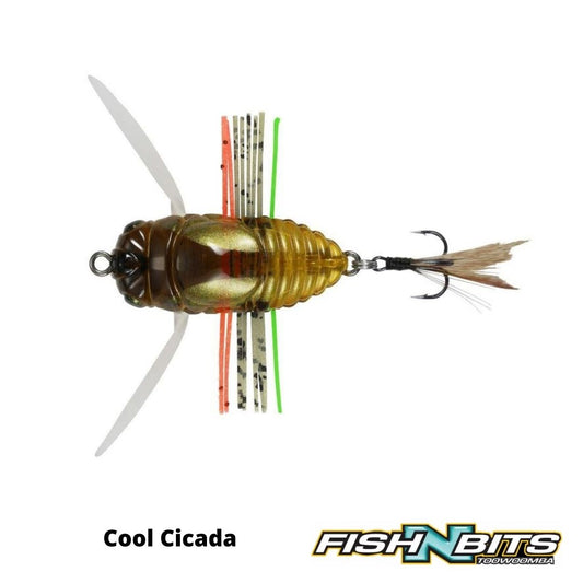 Duo - Realis Shinmushi