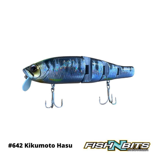 Evergreen - Royal Flash Jr