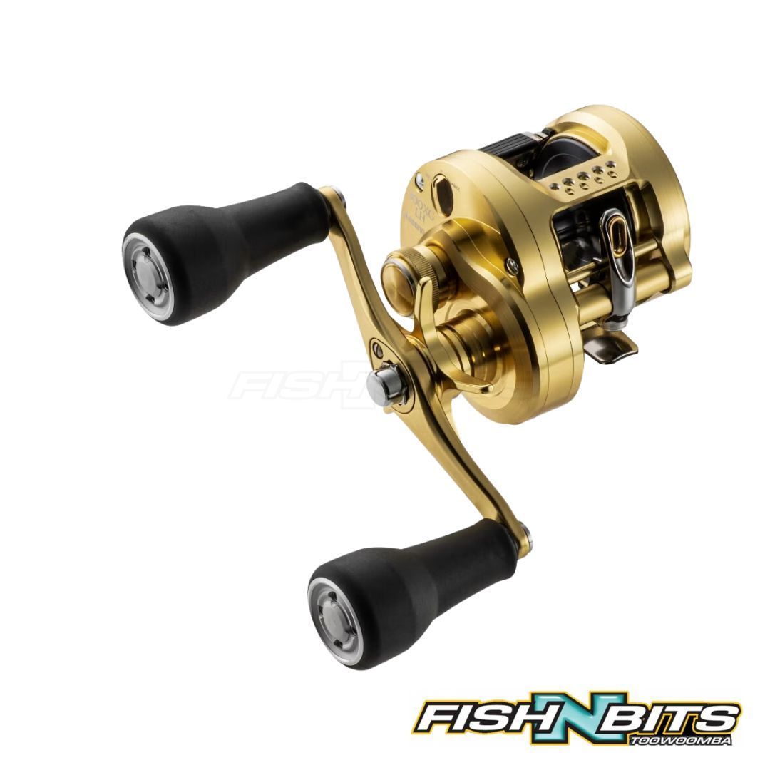 Shimano - Calcutta Conquest MD – Fish N Bits