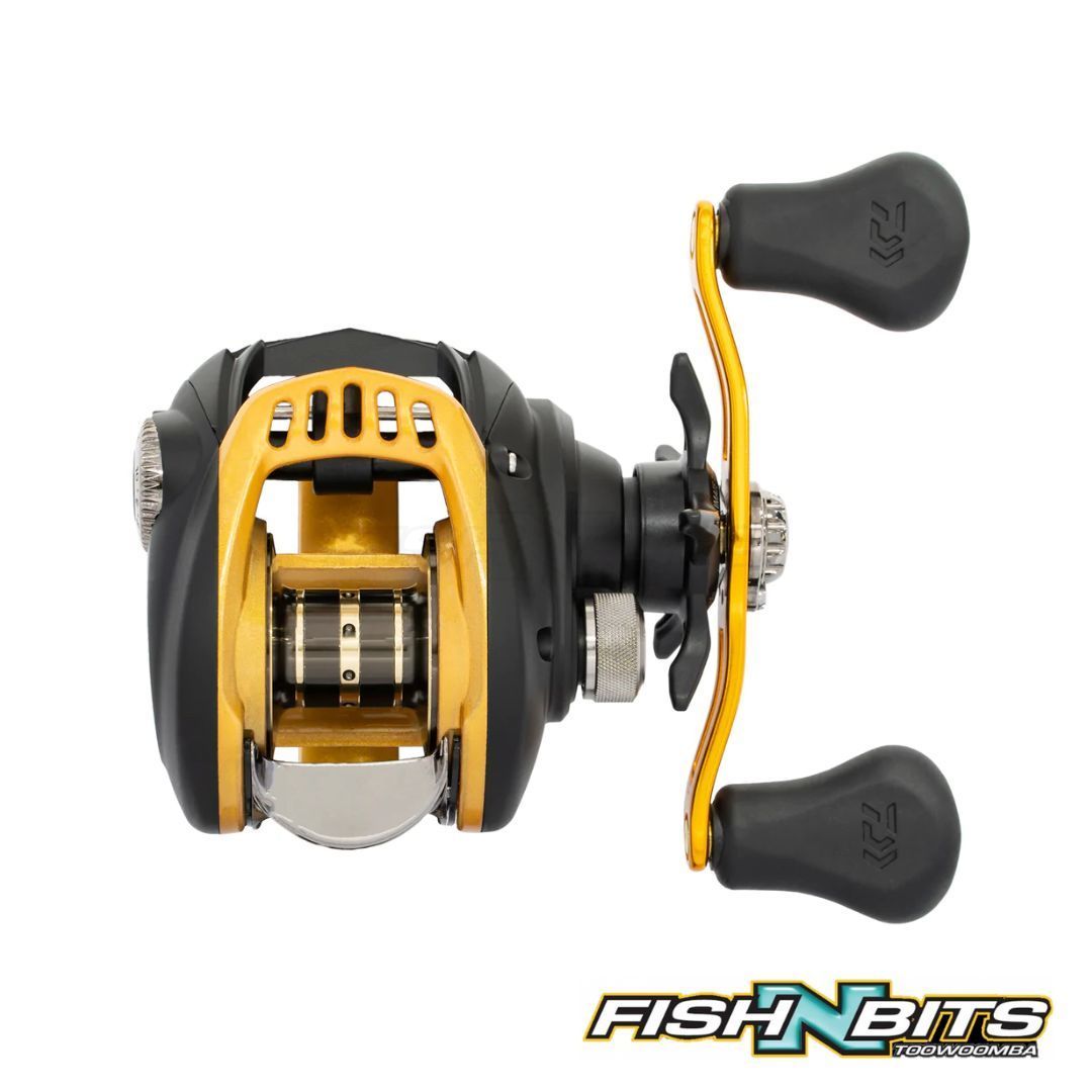 Daiwa aird online