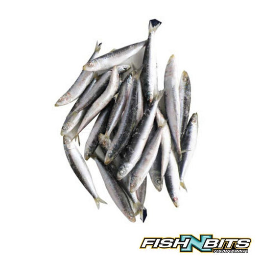 Tweed Bait - 15kg Pilchards