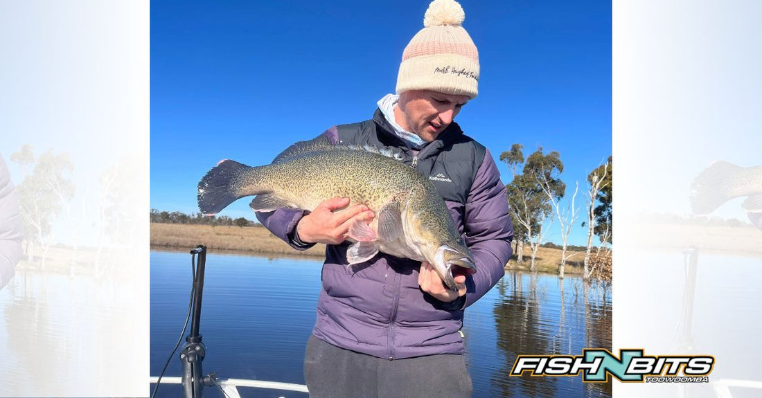 Fishing Report 29th July 2022