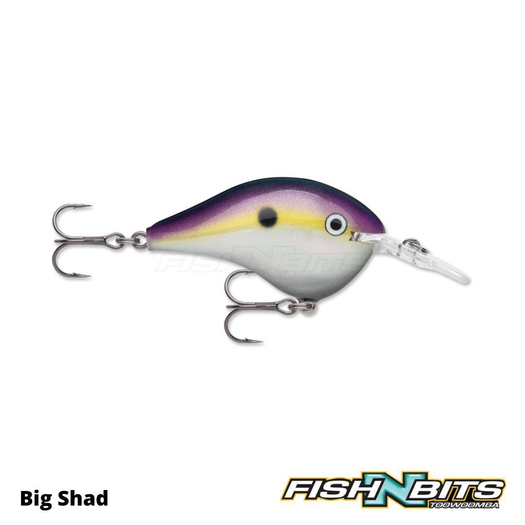 Rapala - DT20 – Fish N Bits