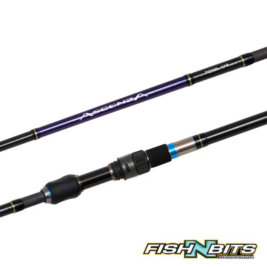 Shimano - Ascenza (Spin)