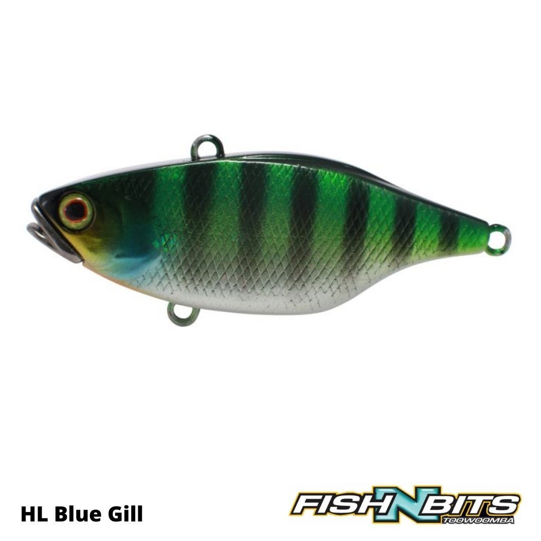 TN65 | HL BLUE GILL